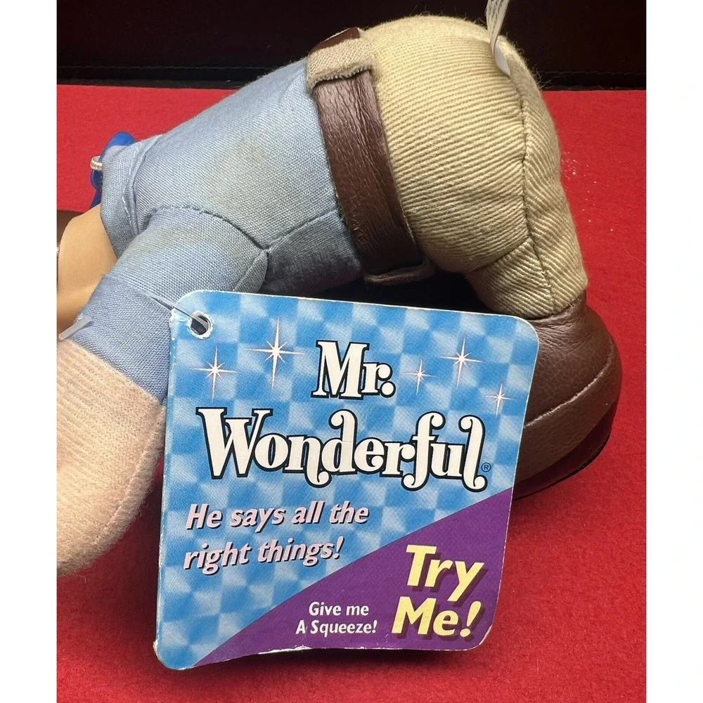 Mr Wonderful Man 5